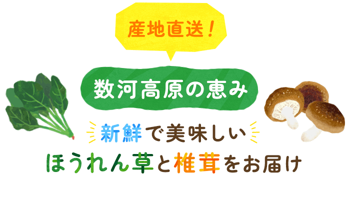 産地直送！数河高原の恵み新鮮で美味しいほうれん草としいたけをお届け