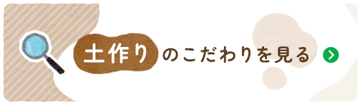 土づくりのこだわりを見る